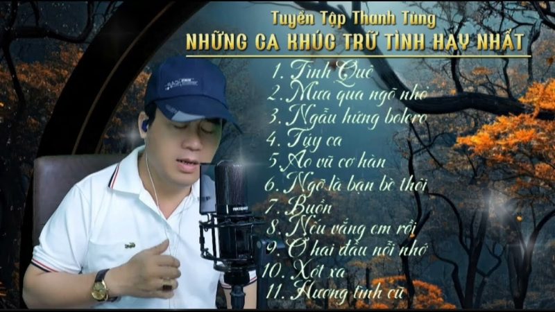 Tình Quê - Thanh Tùng