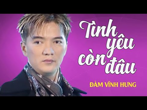 Tình Yêu Còn Đâu - Đàm Vĩnh Hưng