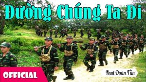 Việt Nam trên đường chúng ta đi - Doãn Tần