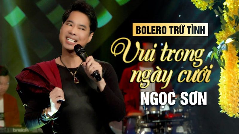 Vui Trong Ngày Cưới - Ngọc Sơn