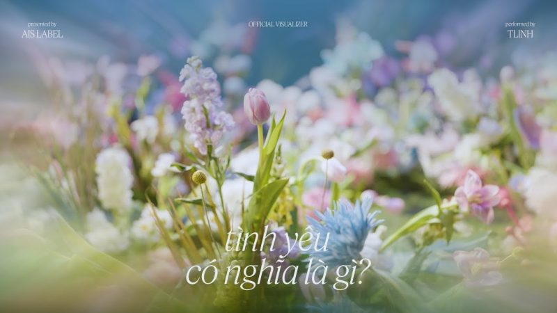 tình yêu có nghĩa là gì? - tlinh