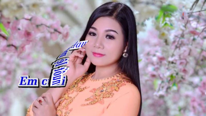 Anh Đã Thay Lòng - Dương Hồng Loan