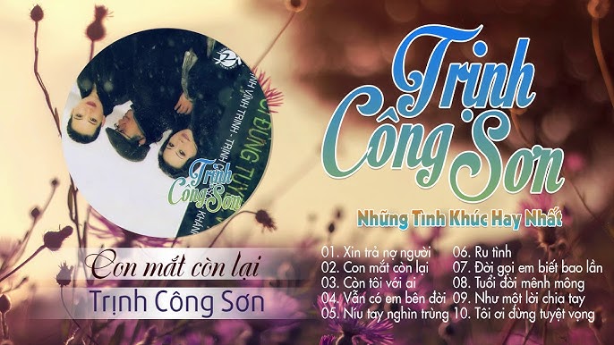Con mắt còn lại - Trịnh Vĩnh Trinh