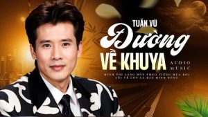 Đường Về Khuya - Tuấn Vũ
