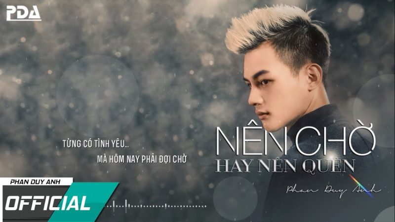 Nên Chờ Hay Nên Quên - Phan Duy Anh