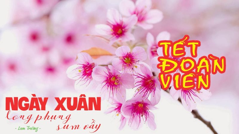 Ngày Xuân Long Phụng Sum Vầy - Lam Trường