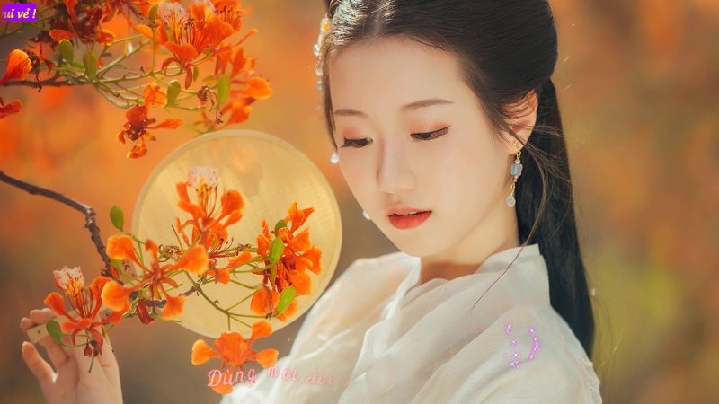 Thương Ly Biệt (伤离别) - Ngụy Tân Vũ