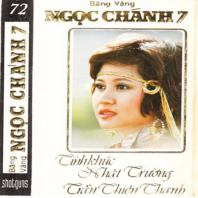 Tình Có Như Không - Thanh Mai & Duy Quang