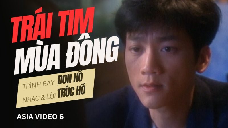 Trái Tim Mùa Đông - Don Hồ