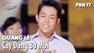Cay Đắng Bờ Môi - Quang Lê