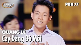 Cay Đắng Bờ Môi - Quang Lê