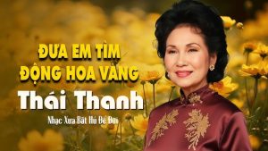 Đưa Em Tìm Động Hoa Vàng - Thái Thanh