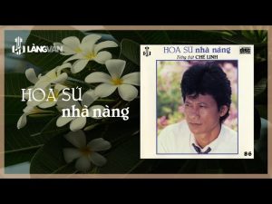 Hoa Sứ Nhà Nàng - Chế Linh