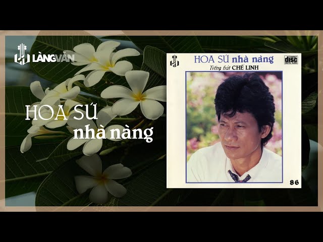 Hoa Sứ Nhà Nàng - Chế Linh