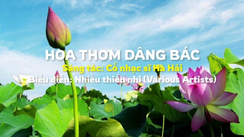 Hoa thơm dâng Bác - Various Artists