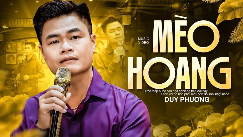 Mèo hoang - Ngọt