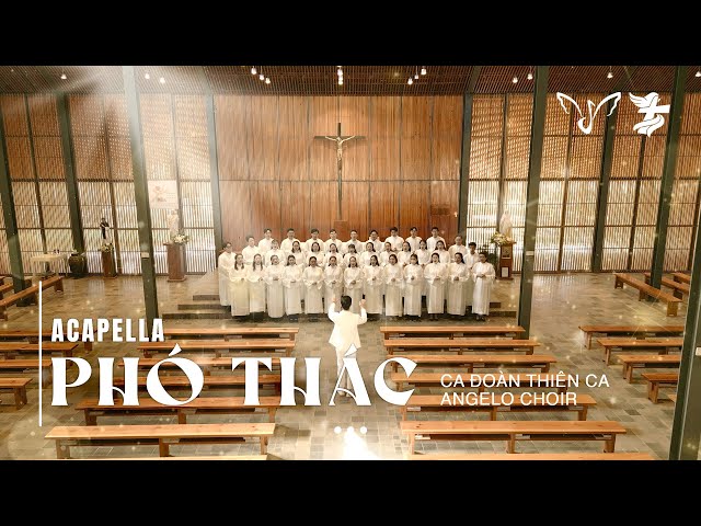 Phó Thác - Angelo Choir