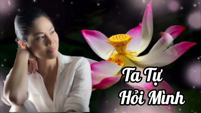 Ta tự hỏi mình - Hồ Lệ Thu