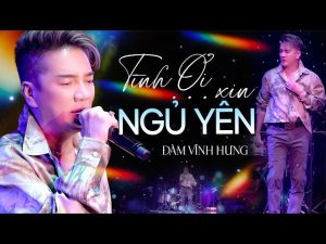 Tình Ơi Xin Ngủ Yên - Đàm Vĩnh Hưng