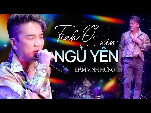 Tình Ơi Xin Ngủ Yên - Đàm Vĩnh Hưng
