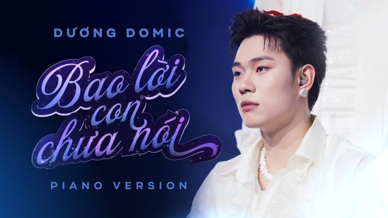 BAO LỜI CON CHƯA NÓI - Dương Domic