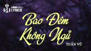 Bao Đêm Không Ngủ - Tuấn Vũ