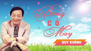 Bông Cỏ May - Duy Khánh