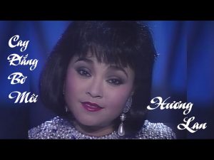 Cay Đắng Bờ Môi - Hương Lan