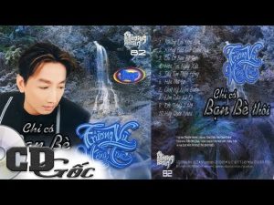 Chỉ Có Bạn Bè Thôi - Trường Vũ
