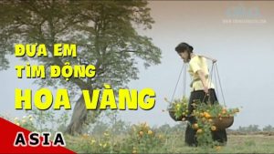 Đưa Em Tìm Động Hoa Vàng - Duy Quang
