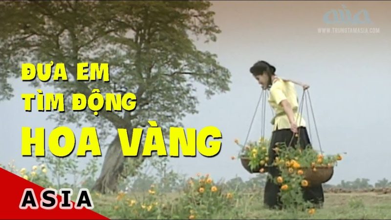 Đưa Em Tìm Động Hoa Vàng - Duy Quang