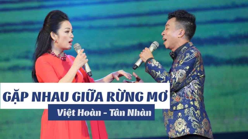 Gặp Nhau Trong Rừng Mơ - Tân Nhàn
