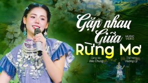 Gặp nhau giữa rừng mơ - Dương Liễu
