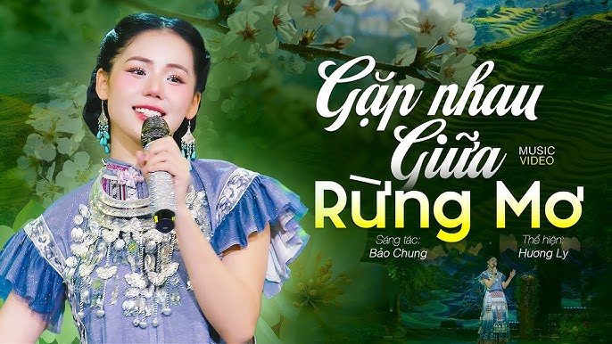 Gặp nhau giữa rừng mơ - Dương Liễu