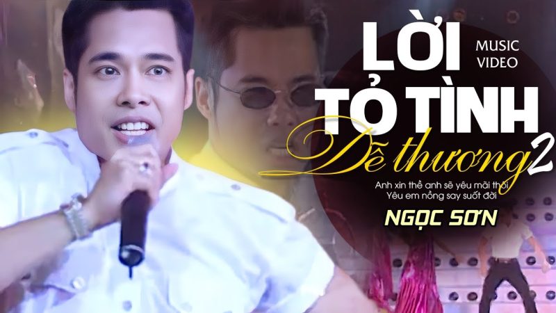 Lời Tỏ Tình Dễ Thương 2 - Ngọc Sơn