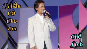 Nhẫn Cỏ Cho Em - Chế Linh