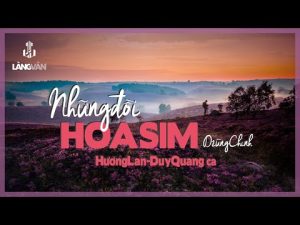 Những Đồi Hoa Sim - Duy Quang