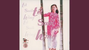 Tết Suối Hồng - Nhiều ca sĩ