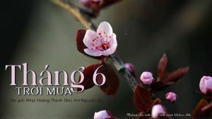 Tháng Sáu Trời Mưa - Vũ Khanh