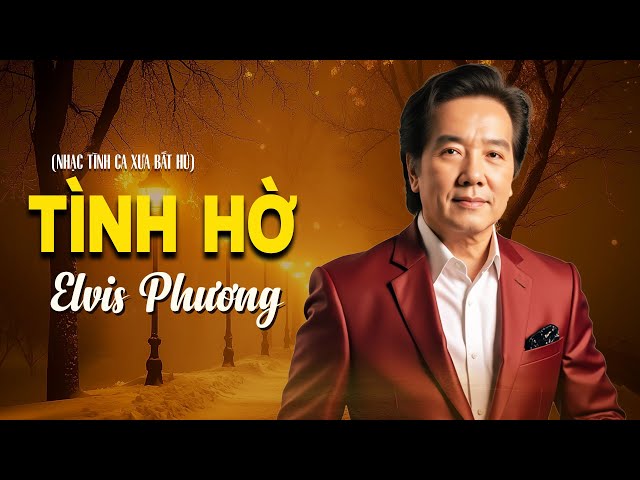 Tình Hờ - Elvis Phương