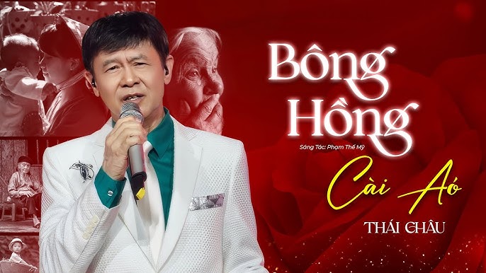 Bông Hồng Cài Áo - Thái Châu