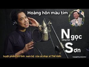 Hoàng Hôn Màu Tím - Ngọc Sơn